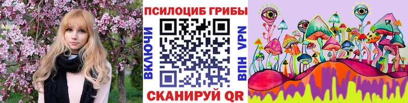 Псилоцибиновые грибы мицелий  Ленинск 